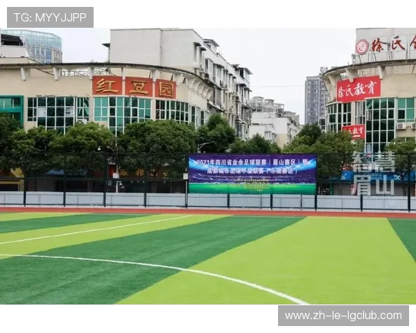 眉山足球场是否免费开放及相关使用规定详细解读